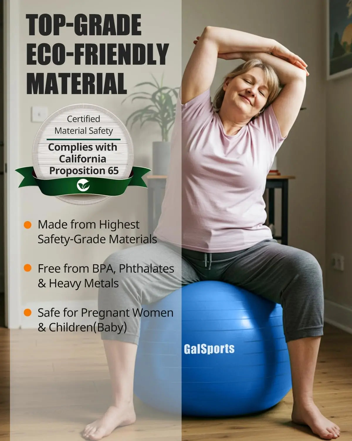 Anti-Burst Slip Resistant Stability Ball for Home Gym and Physical Therapy