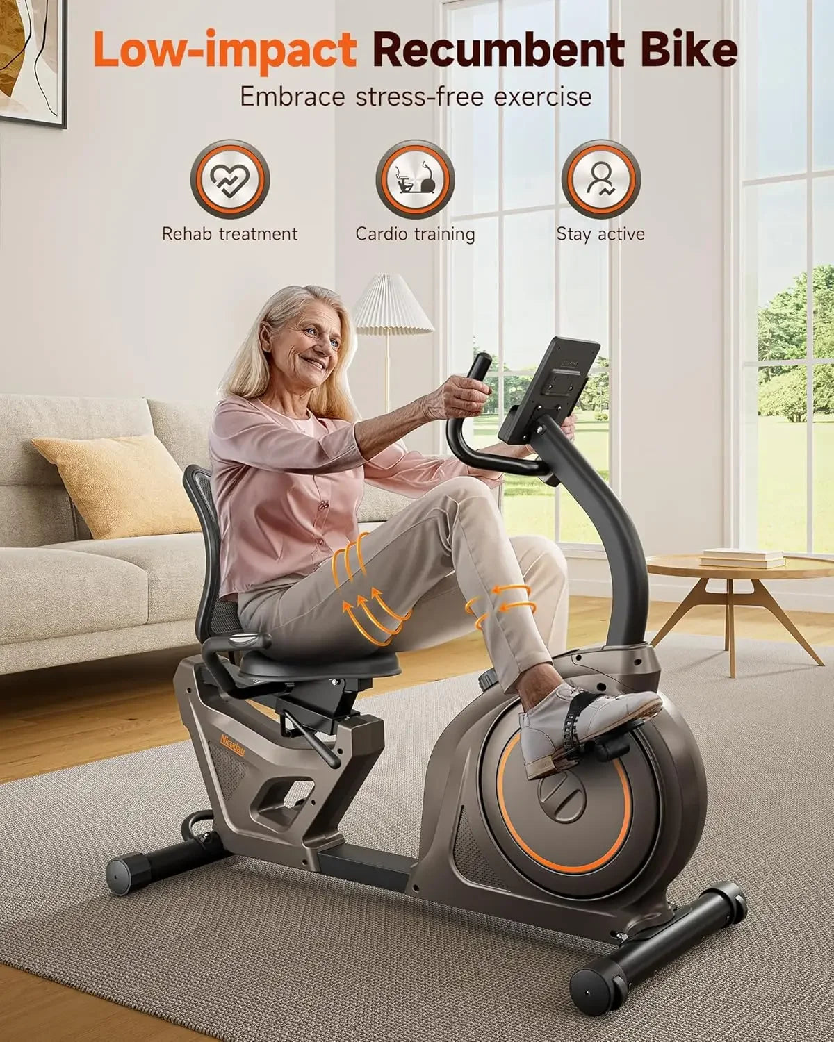 Recumbent Exercise Bike, Recumbent Bike for Home, Recumbent Stationary Bike 400LBS Weight Capacity