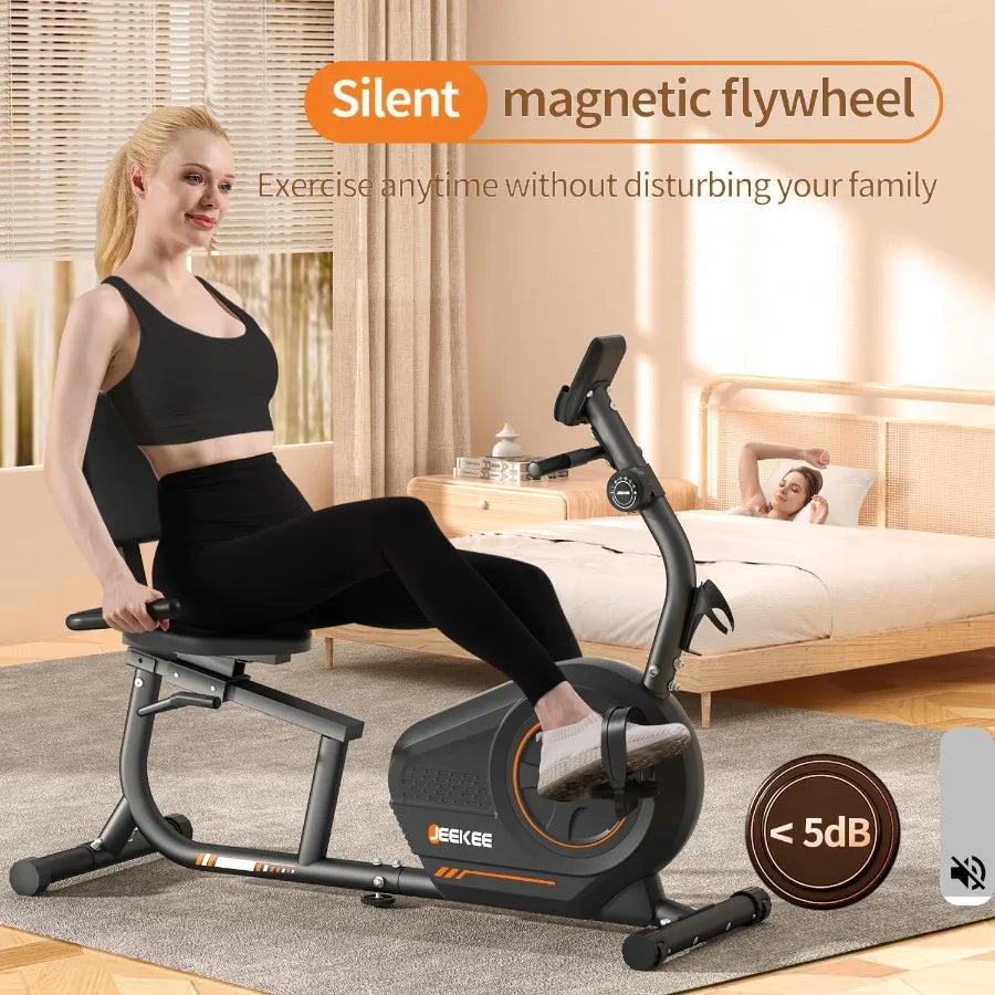 Recumbent Exercise Bike for SeniorsStationary Bikes for Home 300LB Capacity and 16 Levels Magnetic Resistance Heart Rate Handle