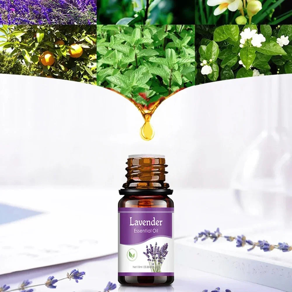 Pure natural essential oil Lemon Mint Rose Tea Tree Lavender Jasmine 6-piece essential oil set 10ml Make house smell better